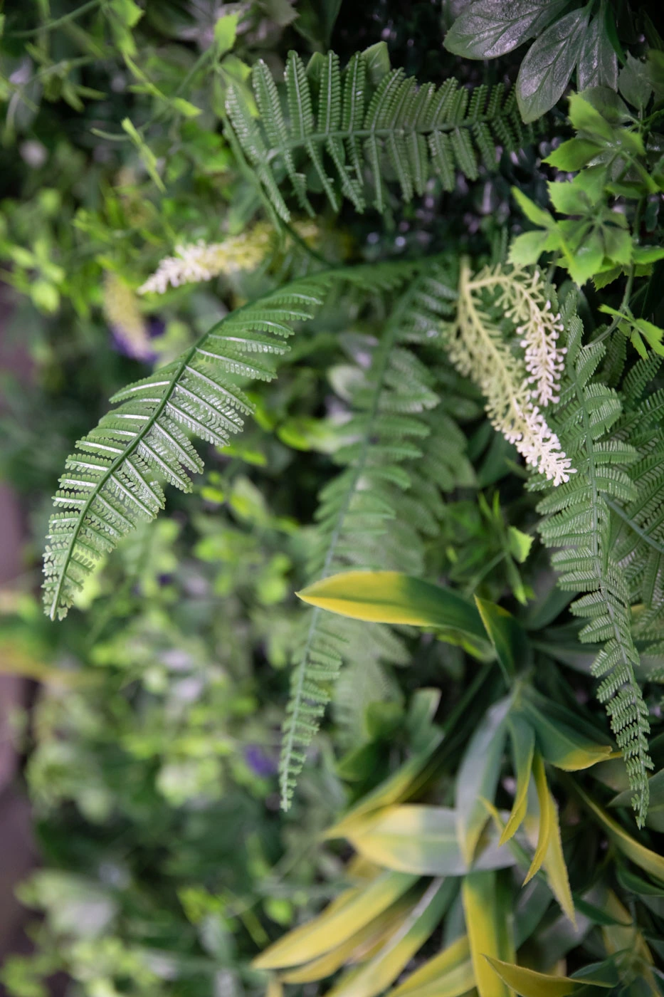 Greenery wall